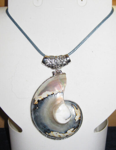 Edelstein-Schnecke-1648